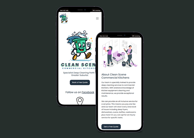 Clean Scene Website